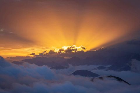 brigit_2024_steinboecke_sonnenaufgang_003