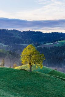 brigit_2024_weekend_emmental_006