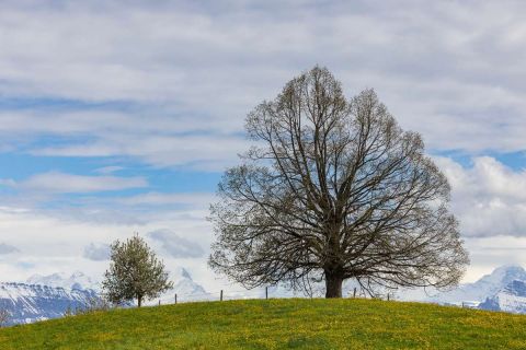 brigit_2024_weekend_emmental_009