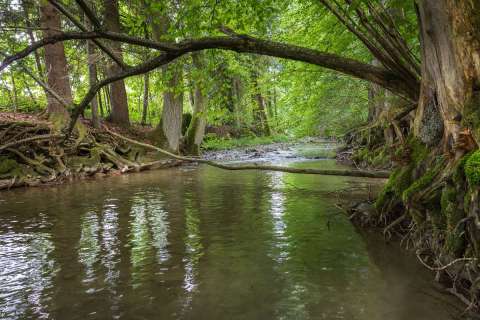 brigit_2025_fliessendes_wasser-wyna_001