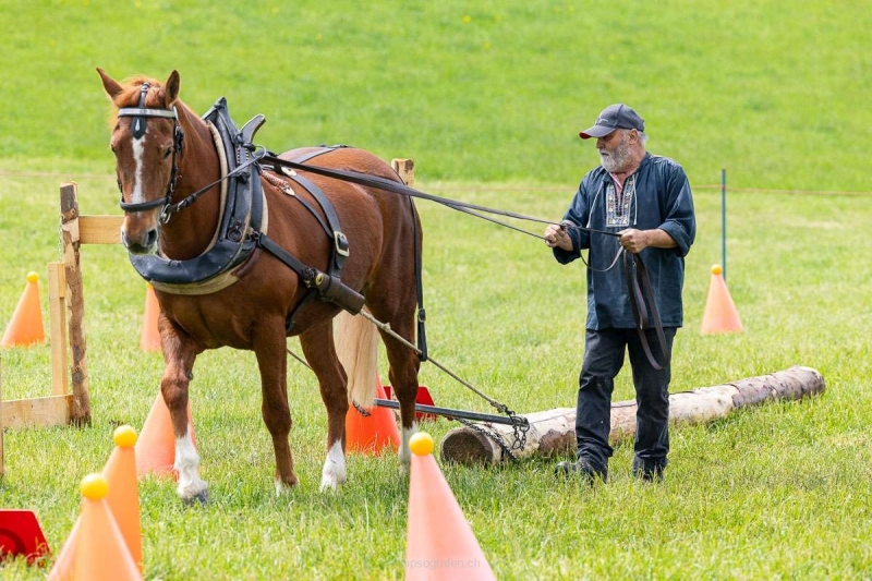 brigit_2025_holzruecken-beromuenster_002