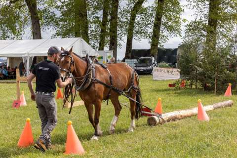 brigit_2025_holzruecken-beromuenster_001