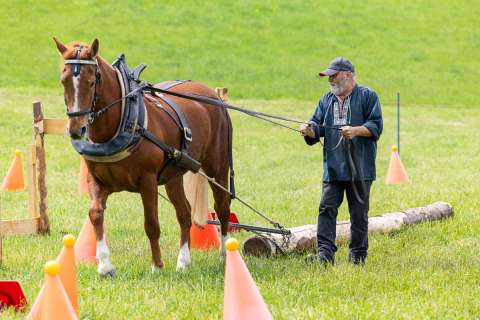 brigit_2025_holzruecken-beromuenster_002