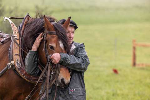 brigit_2025_holzruecken-beromuenster_004