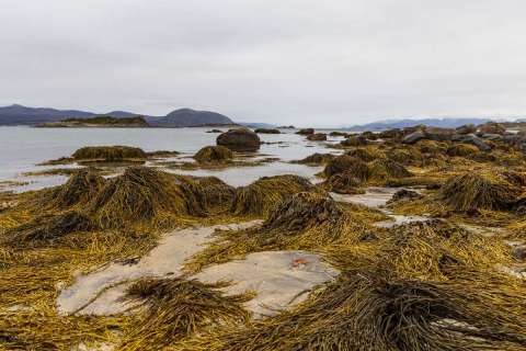 brigit_2025_lofotenreise_004