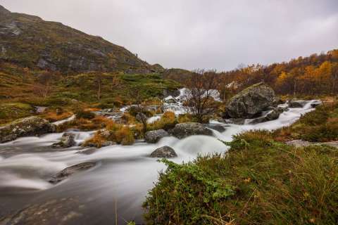 brigit_2025_lofotenreise_006