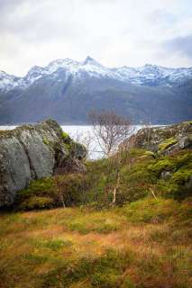 brigit_2025_lofotenreise_010