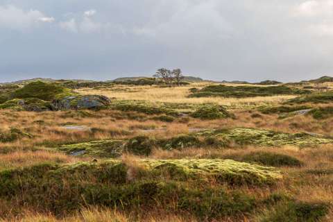 brigit_2025_lofotenreise_011