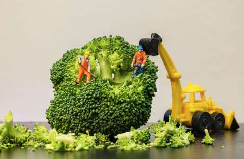 brigit_2025_minaturwelten_sureal_004