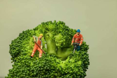 brigit_2025_minaturwelten_sureal_005