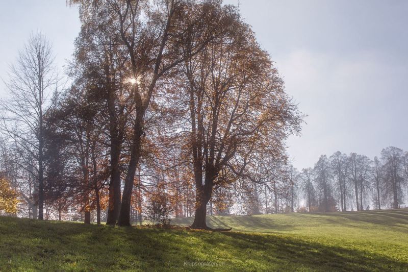 gaudenz_2015-frueher_diverse_024