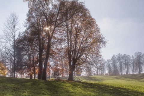 gaudenz_2015-frueher_diverse_024