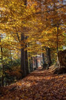 gaudenz_2015-frueher_diverse_025
