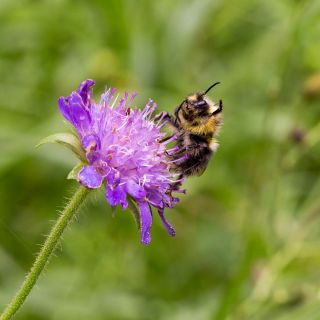 gaudenz_2015-frueher_diverse_046