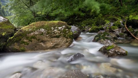 gaudenz_2015-frueher_diverse_047