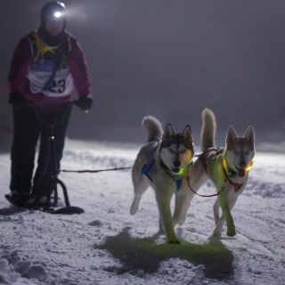 gaudenz_2018_hundeschlitten-rennengadmen_002