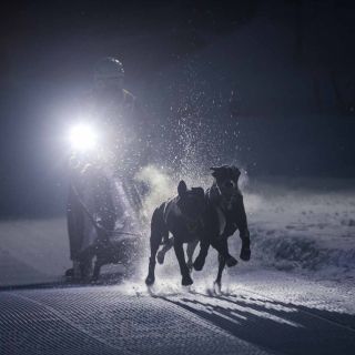 gaudenz_2018_hundeschlitten-rennengadmen_010