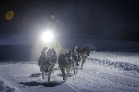 gaudenz_2018_hundeschlitten-rennengadmen_011