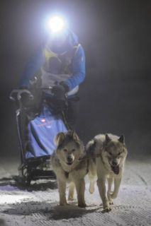 gaudenz_2018_hundeschlitten-rennengadmen_012