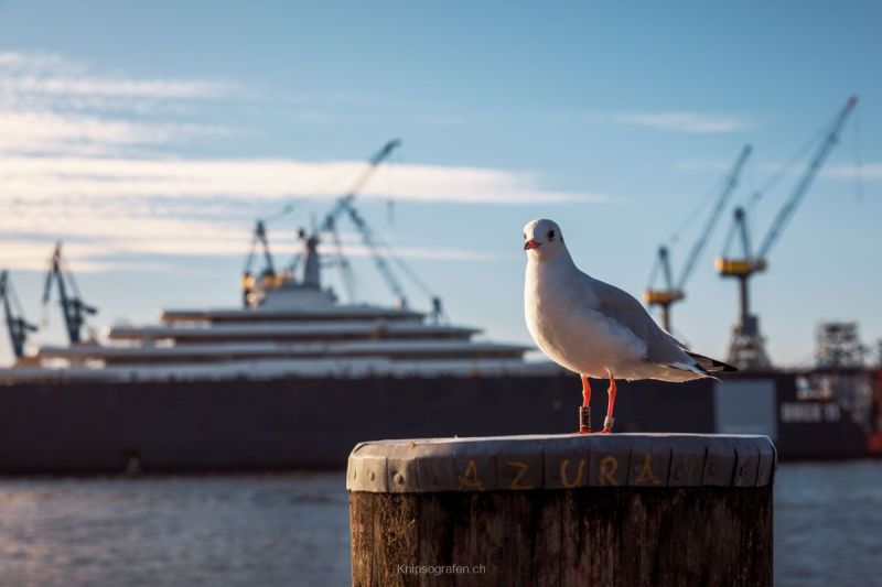 gaudenz_2018_weekend_hamburg_008