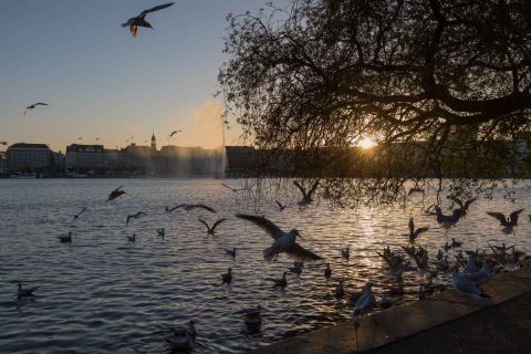 gaudenz_2018_weekend_hamburg_018