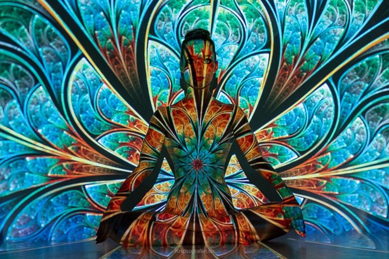 gaudenz_2019_model-beamerprojektion_007