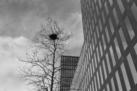 gaudenz_2023_architektur-zuerich_004
