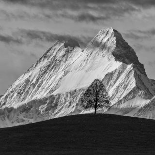 gaudenz_2024_weekend_emmental_002