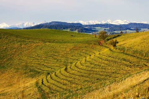 gaudenz_2024_weekend_emmental_003