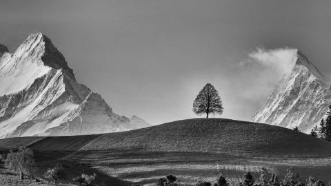 gaudenz_2024_weekend_emmental_005