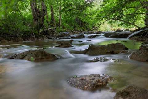 gaudenz_2025_fliessendes_wasser-wyna_001