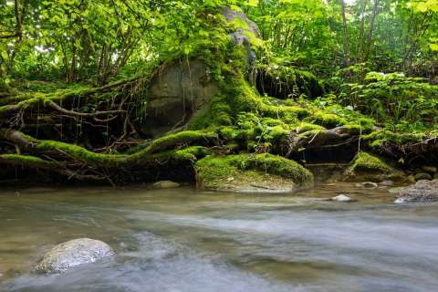 gaudenz_2025_fliessendes_wasser-wyna_003