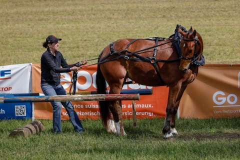 gaudenz_2025_holzruecken-beromuenster_001