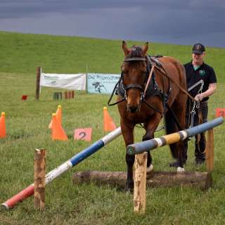 gaudenz_2025_holzruecken-beromuenster_002