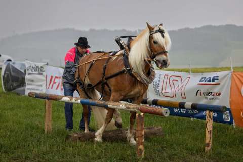 gaudenz_2025_holzruecken-beromuenster_003