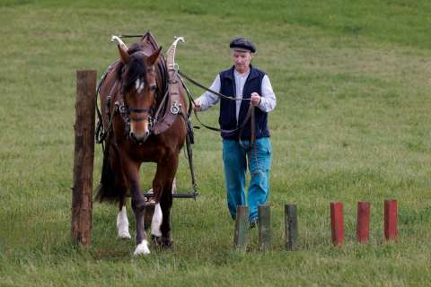 gaudenz_2025_holzruecken-beromuenster_005
