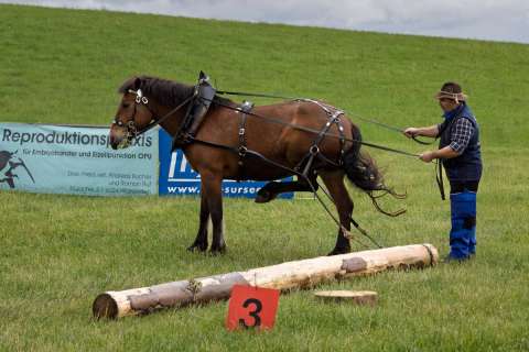 gaudenz_2025_holzruecken-beromuenster_006