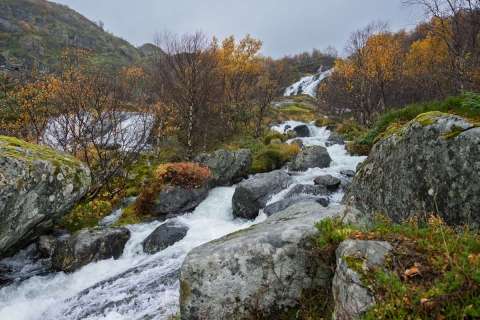 gaudenz_2025_lofotenreise_009