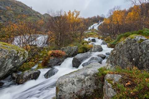 gaudenz_2025_lofotenreise_010