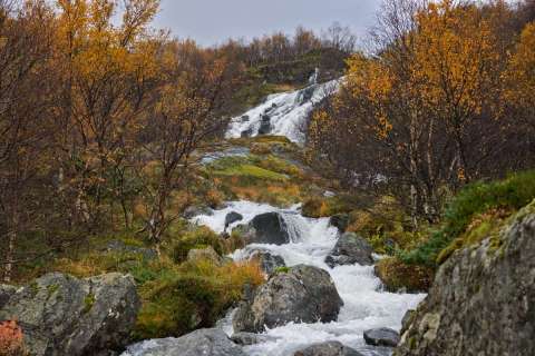 gaudenz_2025_lofotenreise_011