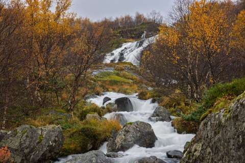 gaudenz_2025_lofotenreise_012