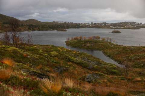 gaudenz_2025_lofotenreise_013