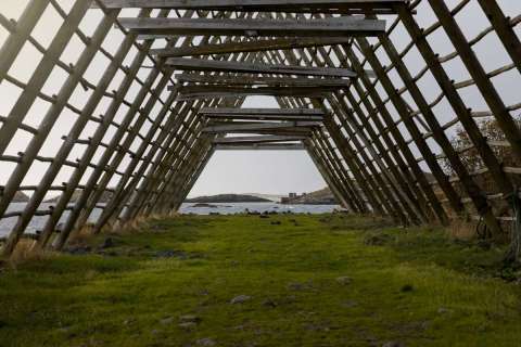 gaudenz_2025_lofotenreise_018