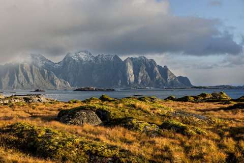 gaudenz_2025_lofotenreise_021