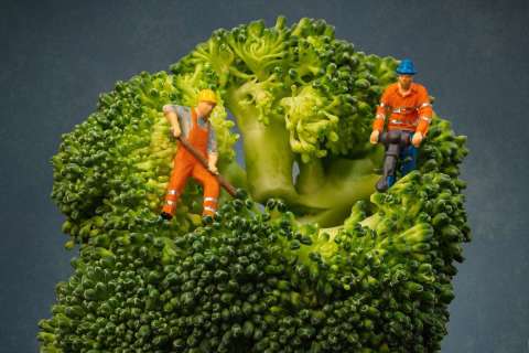 gaudenz_2025_minaturwelten_sureal_006