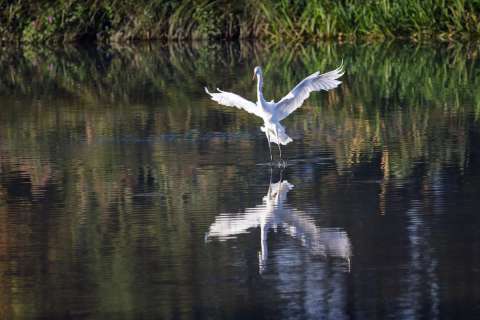 gaudenz_2025_lostplace-shooting_attisholz_001