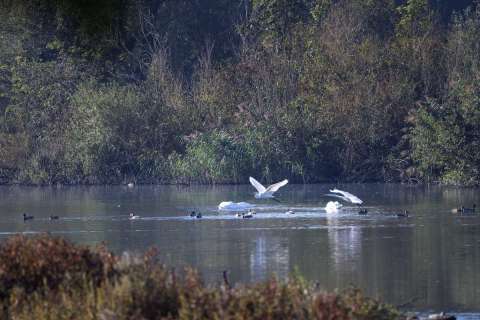 gaudenz_2025_lostplace-shooting_attisholz_002