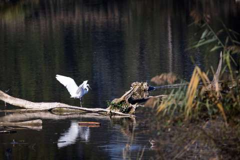 gaudenz_2025_lostplace-shooting_attisholz_003