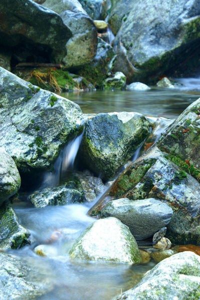 harry_2006_weekend_verzasca_024