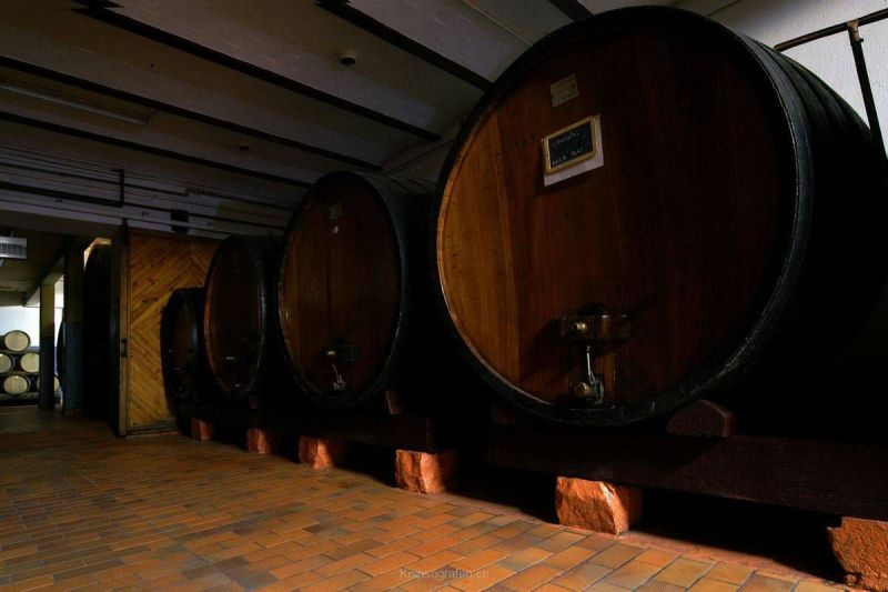 harry_2007_weekend_elsass_022